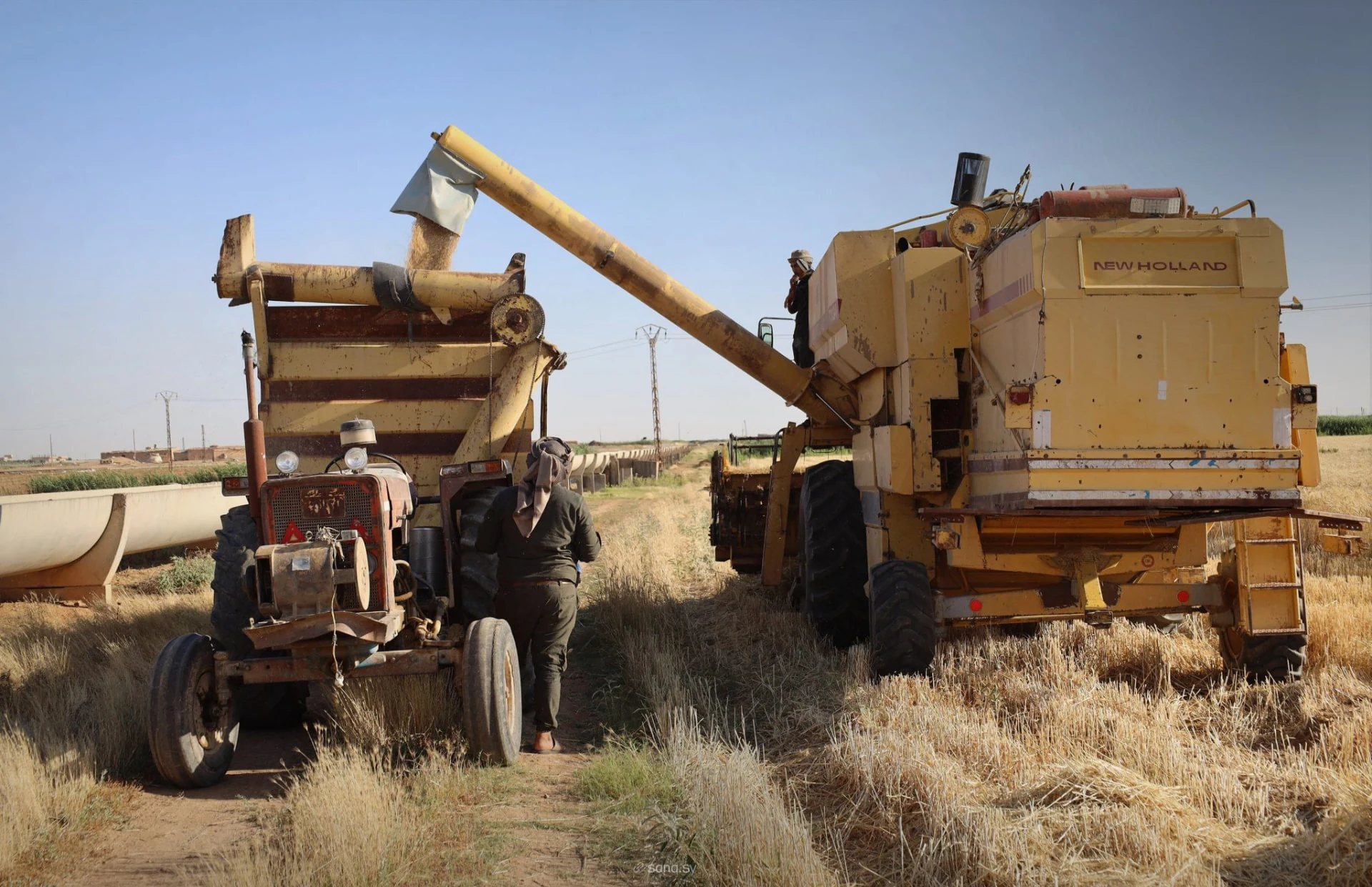 Wheat being transferred from a combine harvester into a tractor trailer near Raqqa